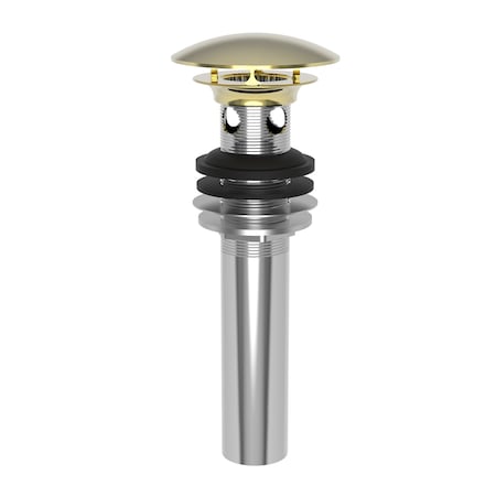 Newport Brass Lavatory Drain in Forever Brass (Pvd) 499-01